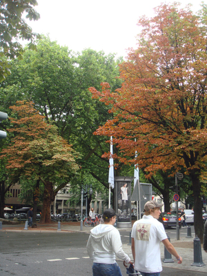 DSC09976.JPG