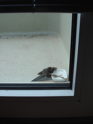 DSC09984.JPG