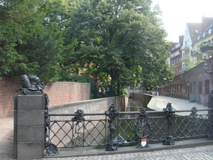 DSC09996.JPG