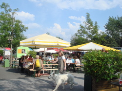 DSC00012.JPG
