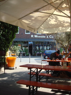 DSC00017.JPG