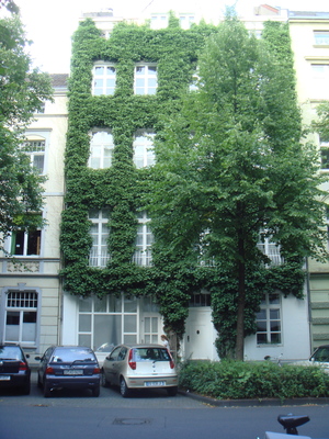 DSC00054.JPG