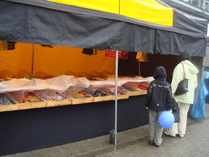 DSC00066.JPG