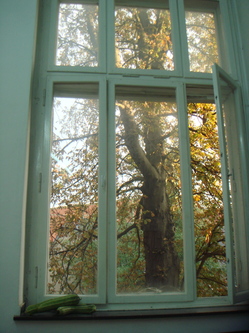 DSC00148.JPG