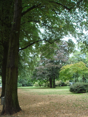 DSC09977.JPG