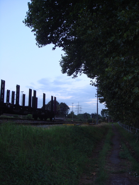 DSC09986.JPG
