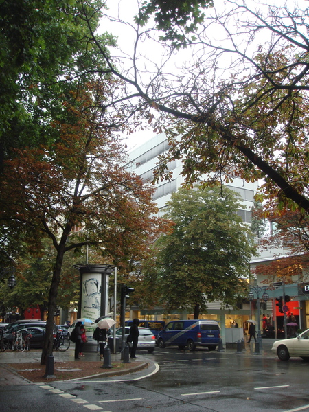 DSC09986.JPG