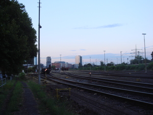 DSC09987.JPG