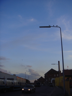 DSC09996.JPG
