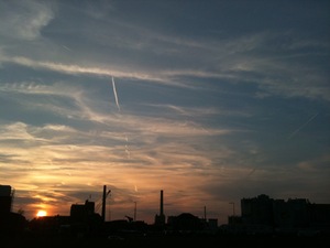 IMG_0527.JPG