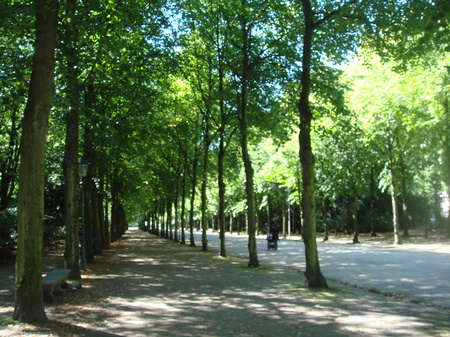 DSC00006.JPG