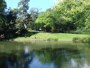 DSC00023.JPG