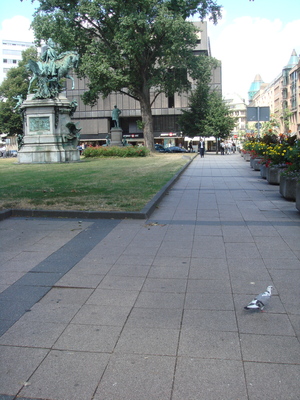 DSC00027.JPG