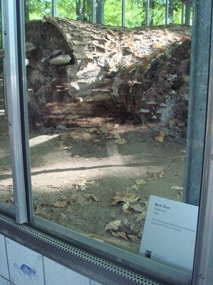 DSC00029.JPG