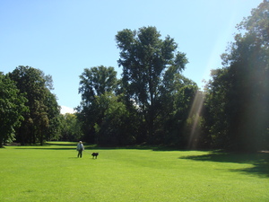 DSC00039.JPG