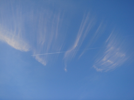 DSC00059.JPG