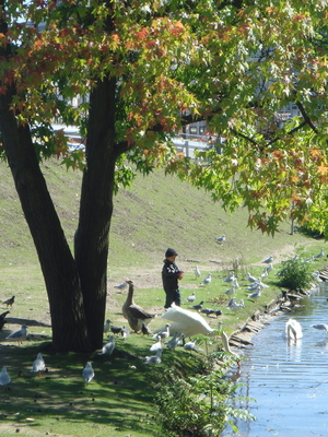 DSC00072.JPG