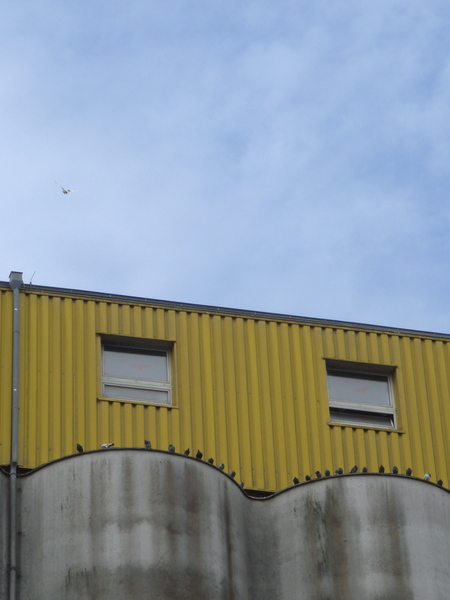 DSC00072.JPG
