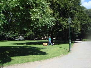 DSC00080.JPG