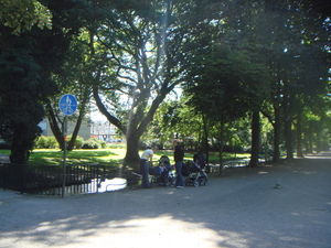 DSC00089.JPG