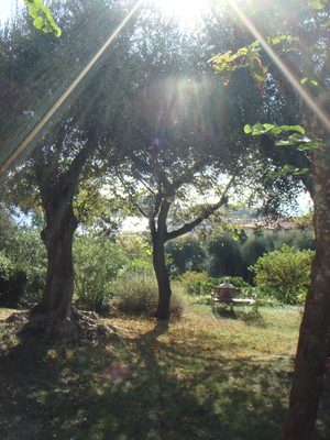 DSC00489.JPG