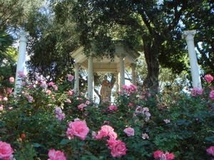 DSC00562.JPG