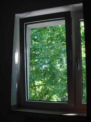 DSC09979.JPG
