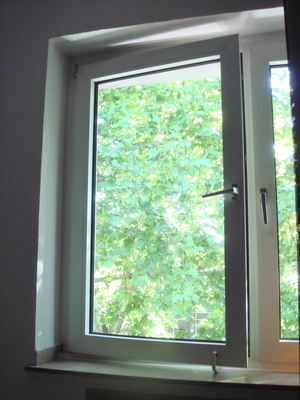 DSC09981.JPG