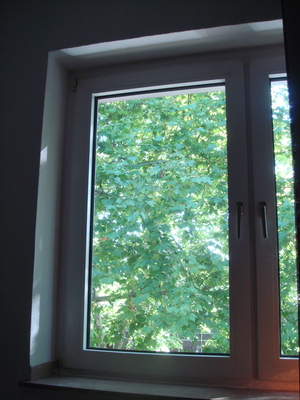 DSC09982.JPG