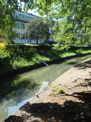 DSC09991.JPG