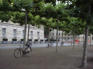 DSC09999.JPG