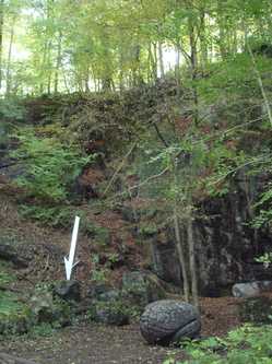 DSC00006.JPG