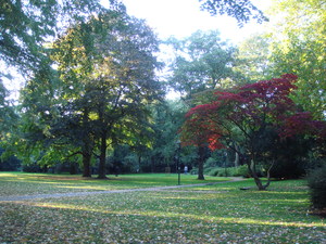 DSC00007.JPG