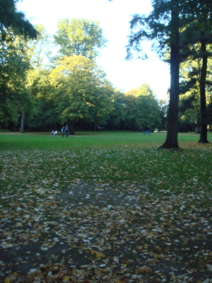 DSC00013.JPG
