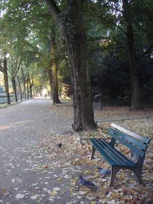 DSC00016.JPG