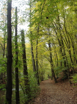 DSC00026.JPG