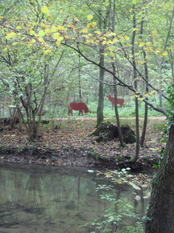 DSC00040.JPG
