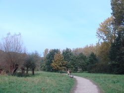 DSC00043.JPG
