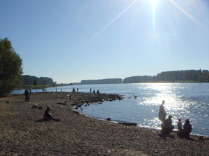 DSC00046.JPG