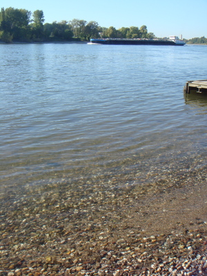 DSC00048.JPG