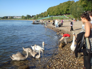 DSC00089.JPG