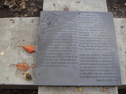 DSC00094.JPG