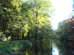 DSC00113.JPG