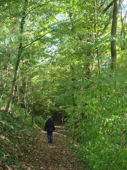 DSC09984.JPG