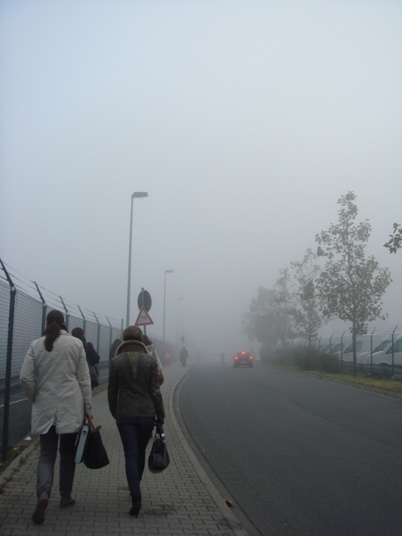 DSC09987.JPG