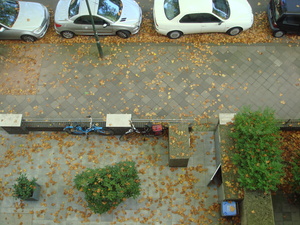 DSC09991.JPG