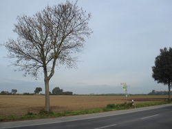 DSC09992.JPG