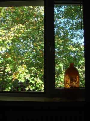 DSC09994.JPG