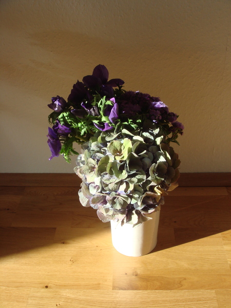 DSC09998.JPG