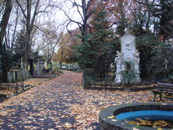 DSC00103.JPG